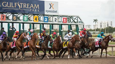 florida derby field